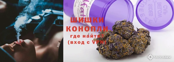 прущие грибы Лиски