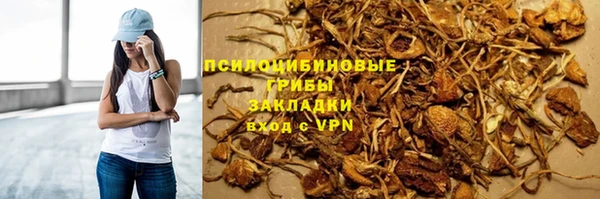 стафф Алексеевка