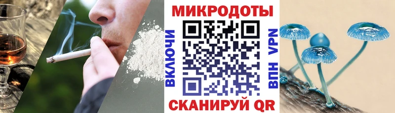 Псилоцибиновые грибы MAGIC MUSHROOMS  как найти закладки  Санкт-Петербург 